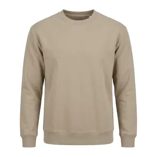 Beige crewneck sweatshirt